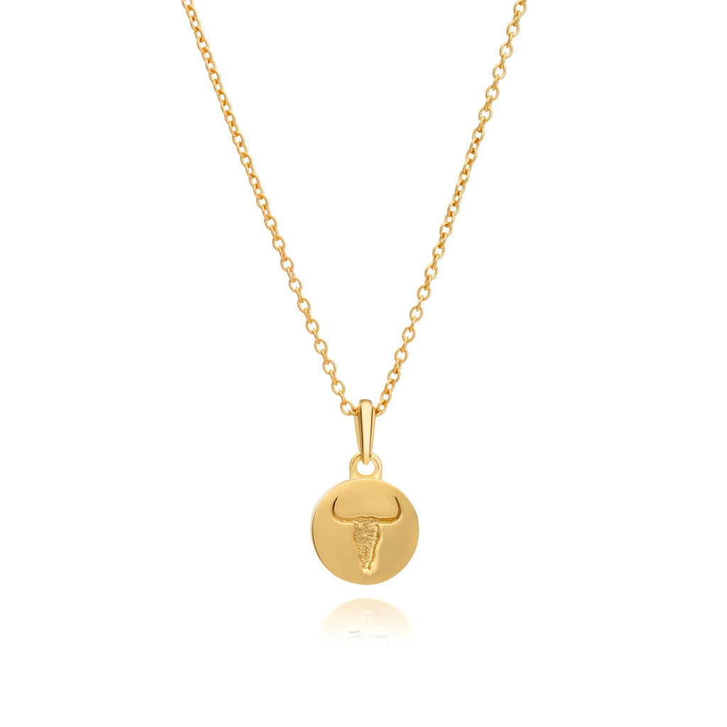 Gold Steerhead Coin Choker